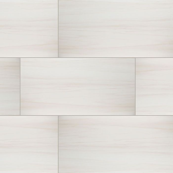 Eden Dolomite 24 x 48 Polished Porcelain Tile