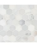 Arabescato Carrara 2" Hexagon Honed Tile