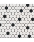 Black And White 1 x 1 Hexagon Matte Tile