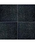 Black Galaxy 18" x 18" Granite Tile