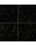 Black Galaxy 24" x 24" Granite Tile