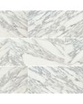 Calacatta Gold 12" x 12" Honed Marble