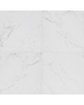 Pietra Carrara 24 x 24 Matte Porcelain Tile