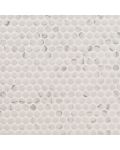 Carrara Matte Penny Round Mosaic Tile