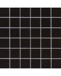 Domino Black 2 x 2 Polished Wall Tile