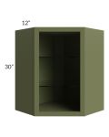 Midtown Hunter Green Shaker 24x30 Corner Wall Cabinet (No Door) To Be Used With A Glass Door
