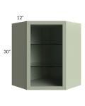 Midtown Pistachio Green Shaker 24x30 Corner Wall Cabinet (No Door) To Be Used With A Glass Door