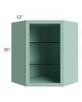 Midtown Sage Green Shaker 24x30 Corner Wall Cabinet (No Door) To Be Used With A Glass Door