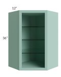 Midtown Sage Green Shaker 24x36 Corner Wall Cabinet (No Door) To Be Used With A Glass Door