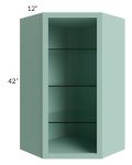 Midtown Sage Green Shaker 24x42 Corner Wall Cabinet (No Door) To Be Used With A Glass Door