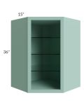 Midtown Sage Green Shaker 27x36 Corner Wall Cabinet (No Door) To Be Used With A Glass Door