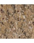 New Venetian Gold 18" x 18" Granite Tile