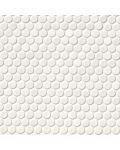 White Glossy Penny Round Mosaic Tile