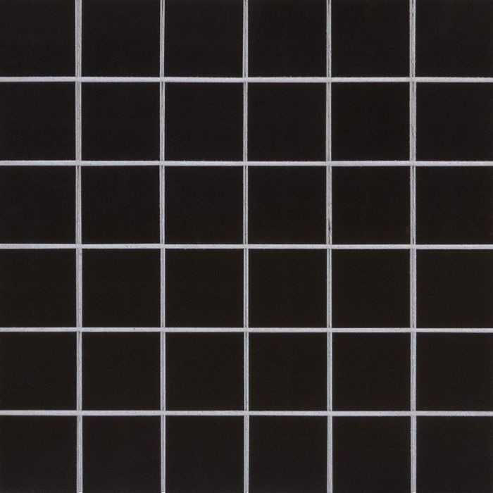 Domino Black 2 x 2 Polished Wall Tile