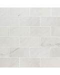 Aria Ice 2 x 4 Porcelain Tile