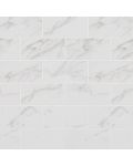 Pietra Carrara 2" x 4" Subway Tile
