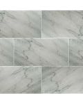 Carrara White 12" x 24" Honed Marble
