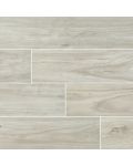 Catalina Ice 8 x 48 Polished Porcelain Wood Tile