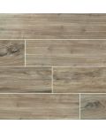 Catalina Teak 8 x 48 Polished Porcelain Wood Tile