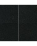 Premium Black 24" x 24" Granite Tile