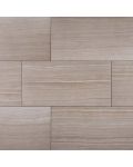 Eramosa Silver 12 x 24 Porcelain Tile